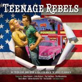 Teenage Rebels